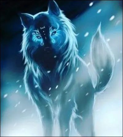 Quel est ton plus gros défaut ?