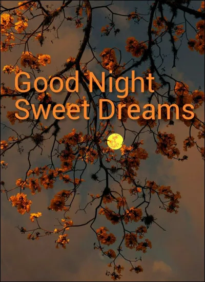 À quel groupe doit-on le titre "Sweet dreams" ?