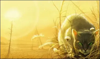 Que préfères-tu parmi ces mots ?