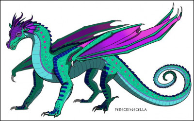 Quelle est la capacité des Ailes de pluie ?