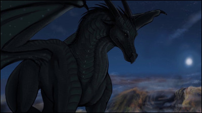 Et la capacité des Ailes de nuit ?