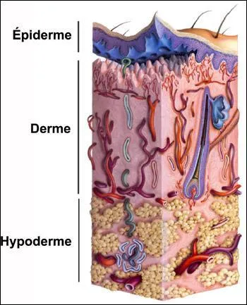Je suis sensible au toucher :