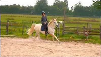 Quelles sont les aides du départ au galop à gauche ?