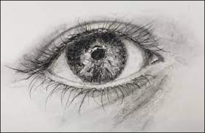 Combien de temps prends-tu pour faire un dessin ?