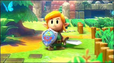 Quel est ce jeu originellement sur GameBoy ?