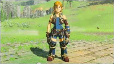 De quel jeu cette image est-elle issue ?