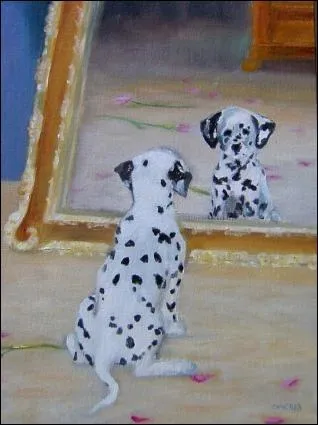 On utilise des miroirs en zoologie, pour vrifier et valuer quoi donc ?