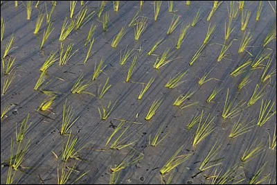 La fin d'un drame, c'est le...