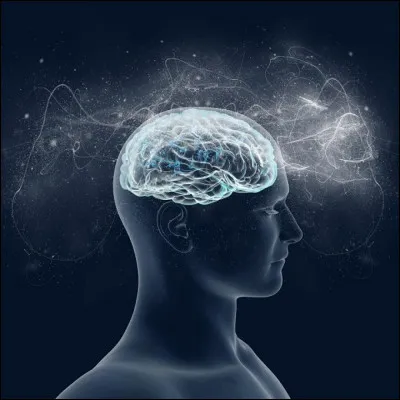 Dernière question : d'après toi, est-il bon d'être intelligent ?