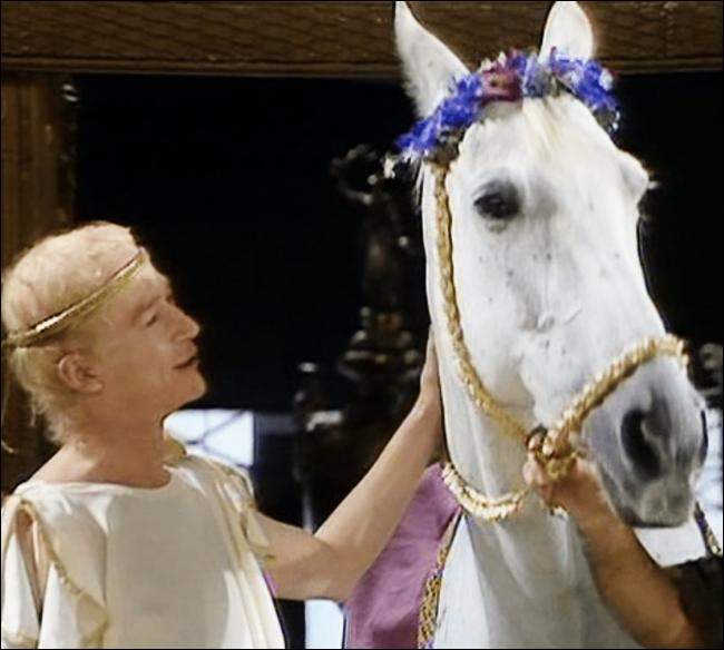 Le délirant empereur romain Caligula a voulu nommer son cheval au titre de consul. Comment se nomme-t-il ?