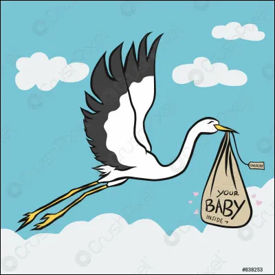 En 1828, le 19 novembre naissait un homme resté célèbre pour sa "Truite" !