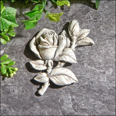 Le 19 novembre 2015 est l'anniversaire du décès d'Anne Caseneuve. En qualité de quoi s'est-elle illustrée ?