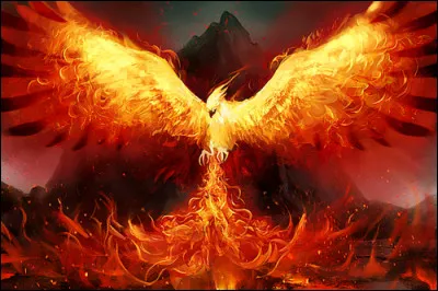 Quelle est cette magnifique créature ailée ?