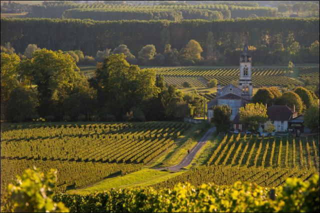 Gastronomie : Dans quelle région viticole est élaboré le Sauternes, vin blanc liquoreux ?