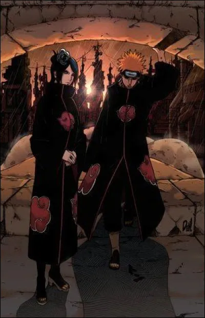 De quelle formation d'Akatsuki le but est-il de réaliser la paix et prévenir de nouvelles guerres à Amegakure ?