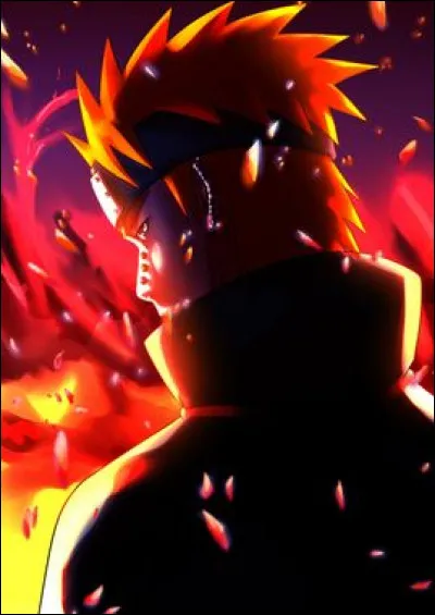 Quel était l'objectif de Pain en rassemblant les Bijû ?