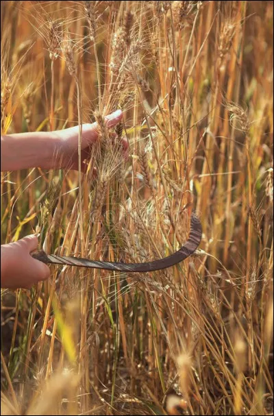 Dans le même genre mais plus petit et plus léger, cet outil était très apprécié auparavant. Nous sommes en présence d'une ...