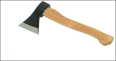 Beaucoup plus petit et beaucoup plus léger, son utilisation reste quasiment la même. Il s'agit de ...