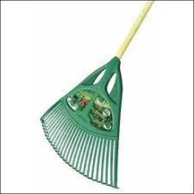 Légèrement plus difficile, il s'agit encore d'un râteau mais lequel est-ce ?