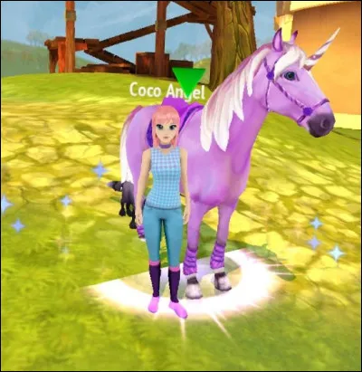 Ce cheval est dans la catégorie :