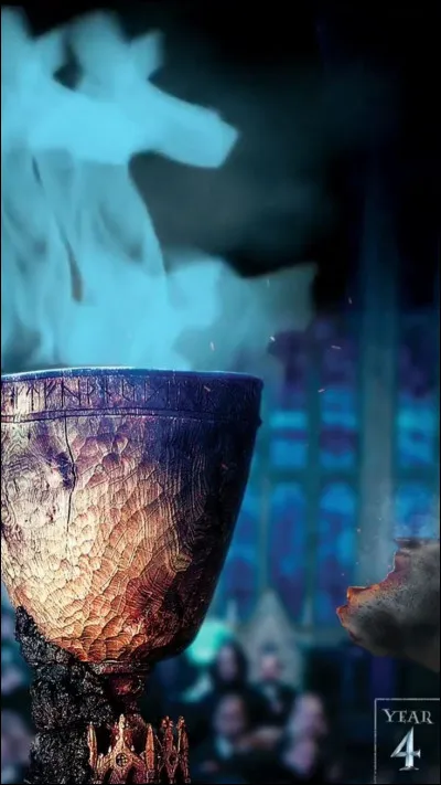 Dans "Harry Potter et la coupe de feu", est-ce qu'Hermione participe au tournois des "quatre" sorciers ?