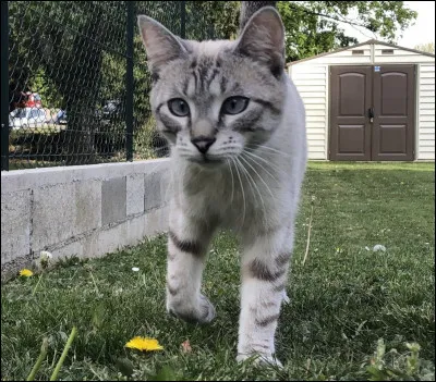 Préfères-tu jouer dehors tout seul ou avec quelqu'un ?