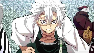 La couleur du sabre d'un utilisateur du Souffle du Vent est..