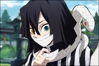 La couleur du sabre d'un utilisateur du Souffle du Serpent est...