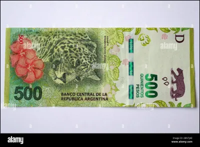 Comment aurait dû s'appeler la monnaie d'Argentine, après la faillite du pays au début des années 2000 ?
