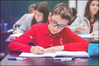 Quel est ton niveau scolaire ? (1)