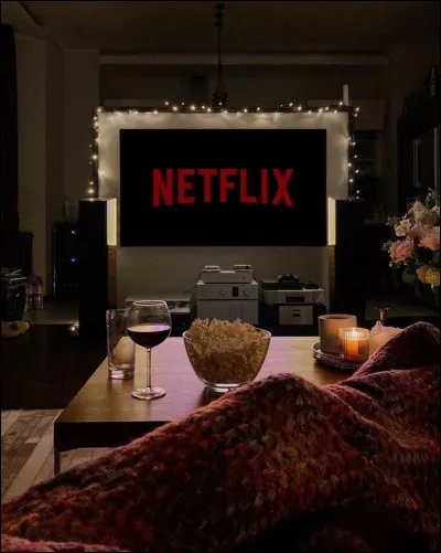 Que regardes-tu à la télévision ?