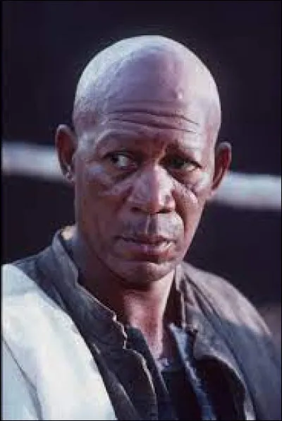 Dans quel film Morgan Freeman est-il un professeur de boxe, en Afrique du Sud ?