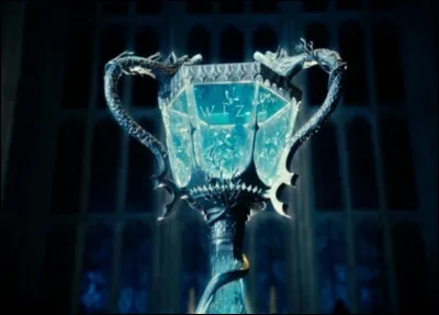 Selon toi qui aurait dû gagner dans "Harry Potter et la coupe de feu" ?