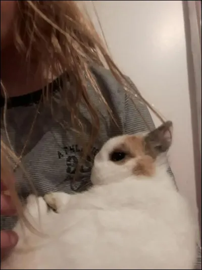 Si un lapin vous lèche, ça veut dire :