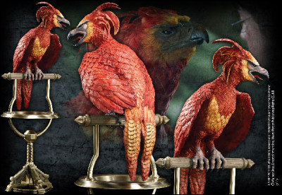 Quelle est cette créature ?