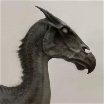 Quelle est cette créature ?