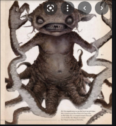 Quelle est cette créature ?