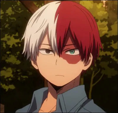 Quel âge a Shoto Todoroki ?