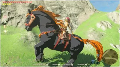 Comment s'appelle le cheval géant qui serait le cheval de Ganondorf ?