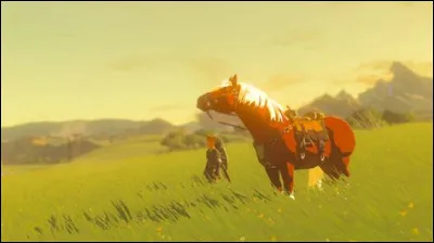 Comment avoir Epona , le cheval de Link ?