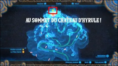 Que se passe-t-il si on n'a pas été dans les créatures divines et qu'on va au château d'Hyrule pour combattre Ganon ? ( Plusieurs réponses possibles )