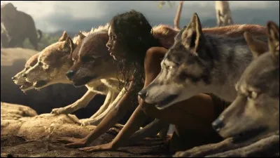 Lequel de ces enfants sauvages a été élevé parmi les loups ?