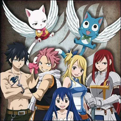 Tu préfèrerais être ami avec quel membre de Fairy Tail ?