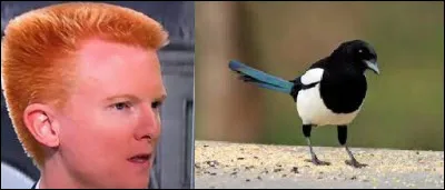 Retrouvez la monnaie à l'aide de ce petit rébus !