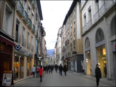 Voici une rue très commerçante, c'est la rue de Bonne ! Qui était François de Bonne, personnalité marquante du Dauphiné ?