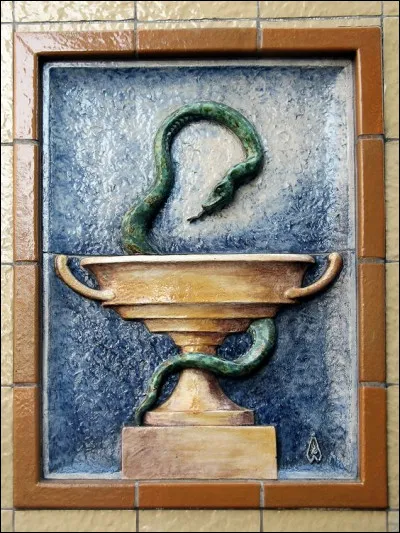 Un.e proche atteint.e dune maladie incurable te demande daller lui chercher un remède réputé introuvable.