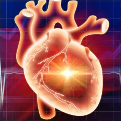 Quel terme d&eacute;signe un rythme cardiaque plus rapide que la normale ?