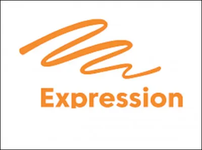 Complètez l'expression qui signifie qu'on a des ennuis qui s'aggravent : ''Filer un mauvais... ''