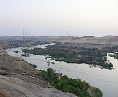 Lors de quelle opération chirurgicale effectue-t-on une phacoémulsification ?