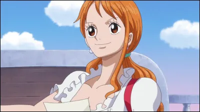 N comme Nami. Belle et intelligente, quel rôle a-t-elle au sein de l'équipage du Chapeau de Paille ?